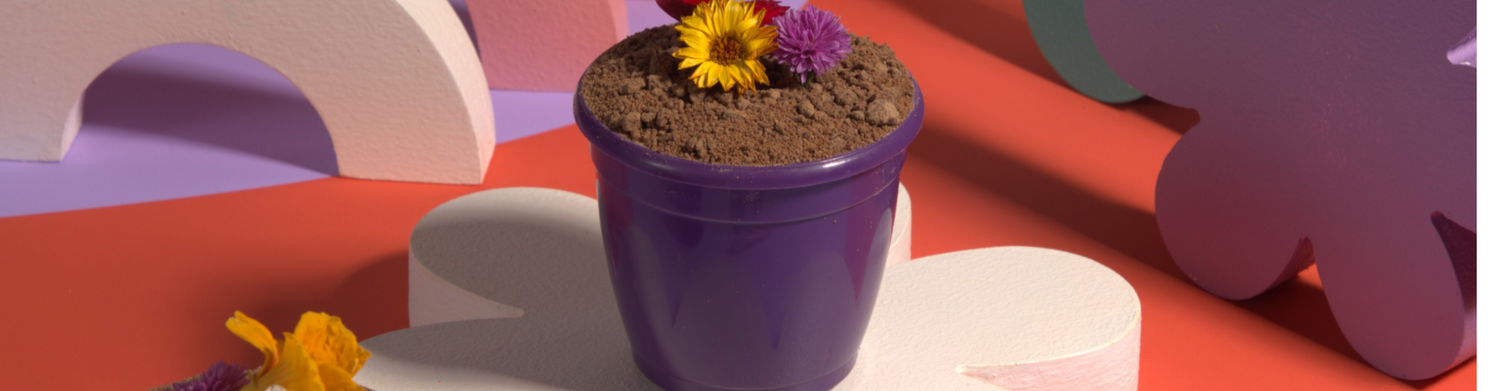 Edible Flower Pots