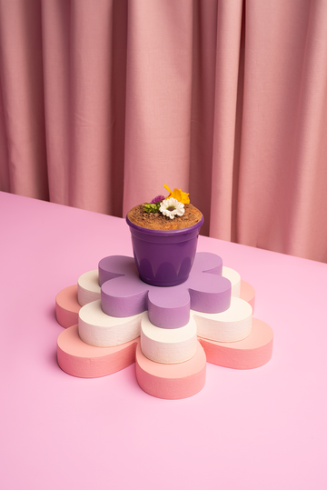 Tiramisu Flower Pot