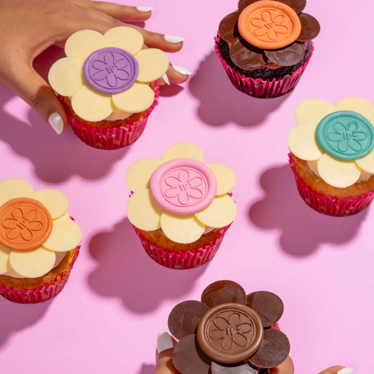 Box of 6 cupcakes Hamper